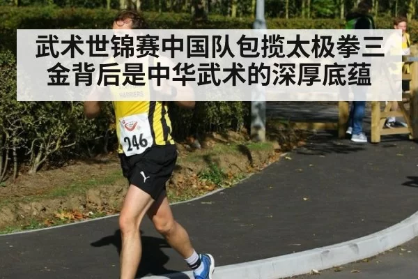 武术世锦赛中国队包揽太极拳三金背后是中华武术的深厚底蕴