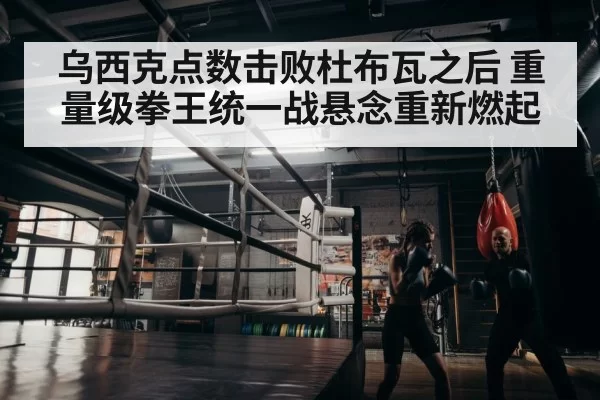 boxer training